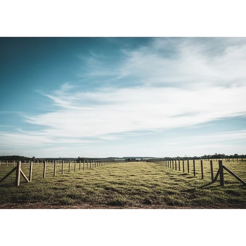 Terreno negociado — São Pedro do Sul RS